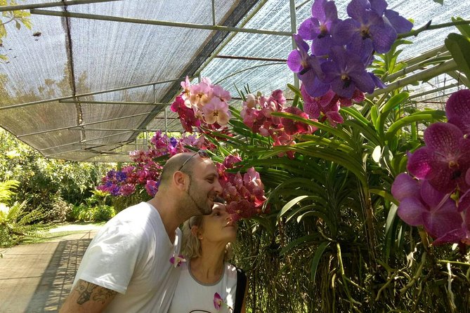 Doi Suthep Temple and Bau Thong Waterfalls Private Tour - Orchid and butterfly farm lunch