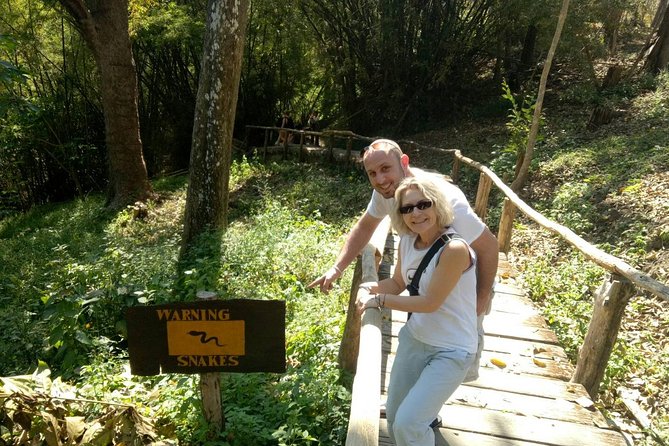 Doi Suthep Temple and Bau Thong Waterfalls Private Tour - Who should book this Chiang Mai day trip?