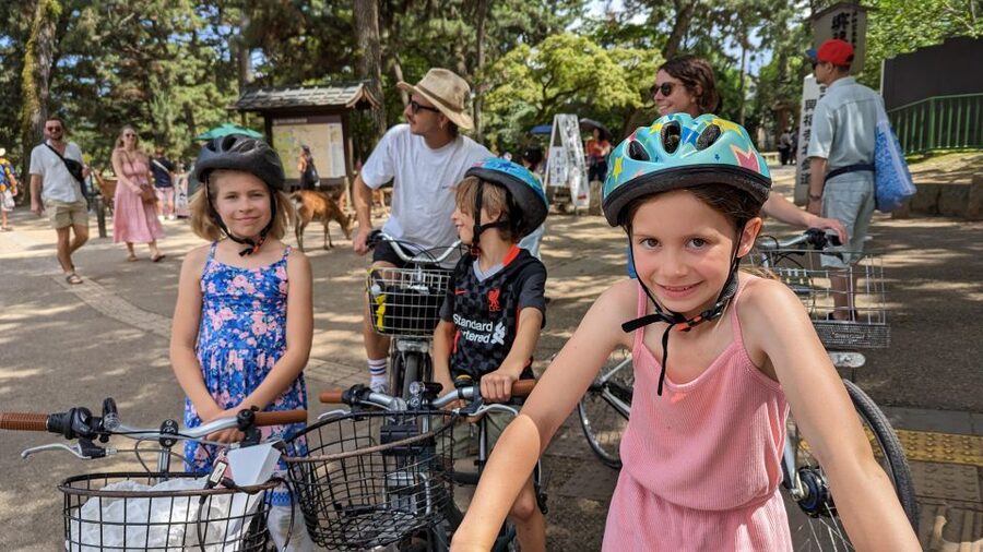 E-Bike Nara Highlights - Todaiji, Knives, Deer, Shrine - Starting near Kintetsu Nara Station