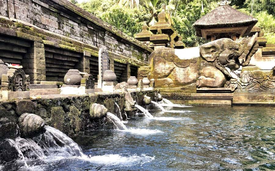 EAST BALI TRIP : BESAKIH TEMPLE/LAKE BATUR/TIRTA EMPUL - Tirta Empul and its holy springs