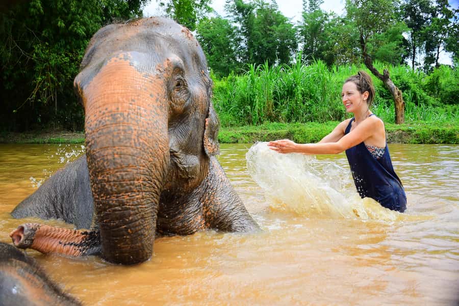 Elephant care with Wat Umong, Doi Suthep and Night City view - The key details at a glance