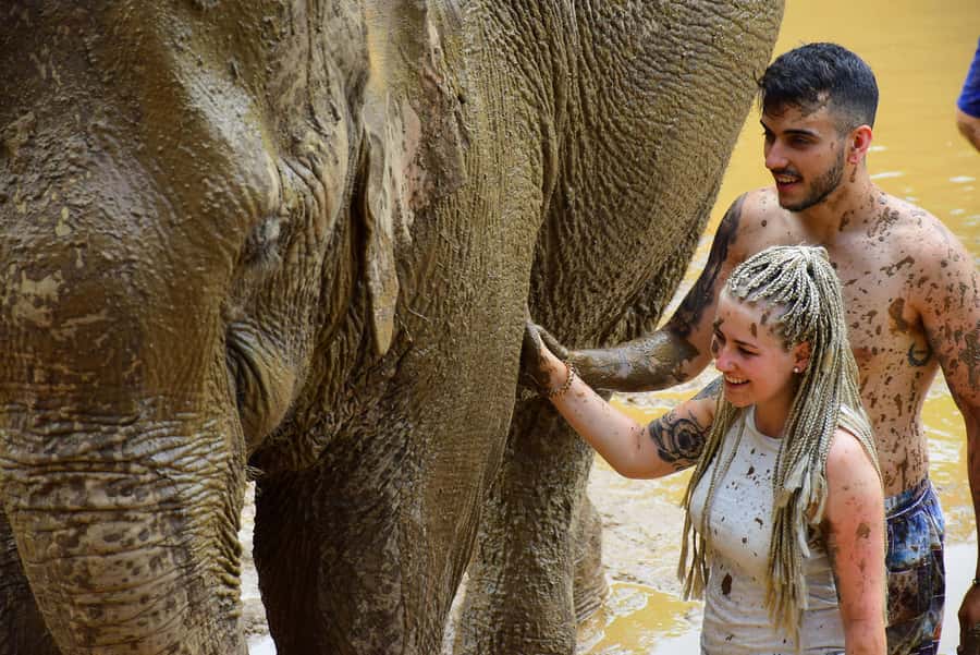 Elephant care with Wat Umong, Doi Suthep and Night City view - Mud pool, elephant bathing, and a change of clothes