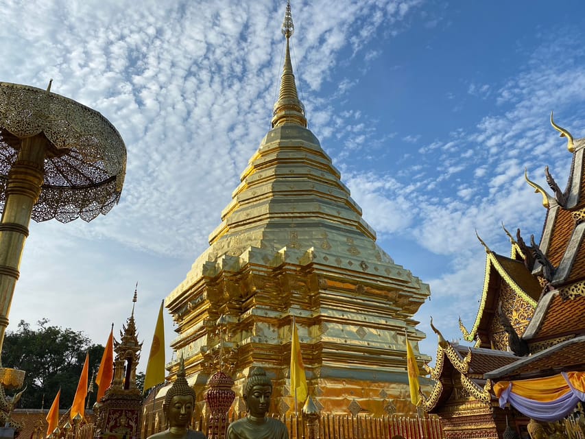 Elephant care with Wat Umong, Doi Suthep and Night City view - What the $122 price includes