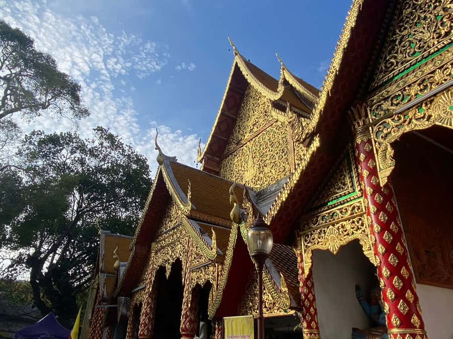 Elephant care with Wat Umong, Doi Suthep and Night City view - Who will enjoy this long Chiang Mai day
