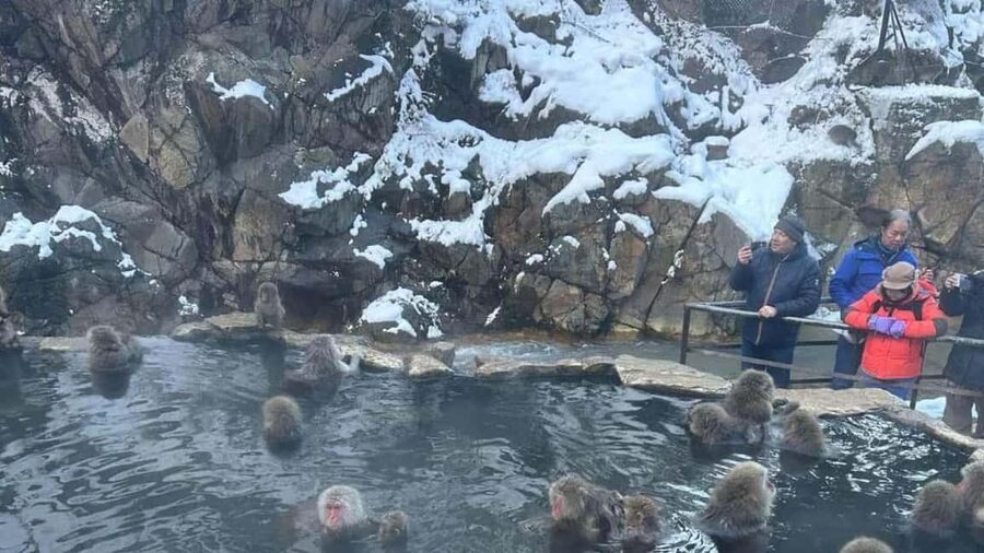 F: Tokyo:Nagano snow monkey/Zenko Ji temple private day tour - Zenkoji Temple and 1,400 years of tradition