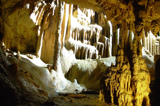 Fortified Manasija Monastery and Resava Cave Tour - Who should book this excursion?
