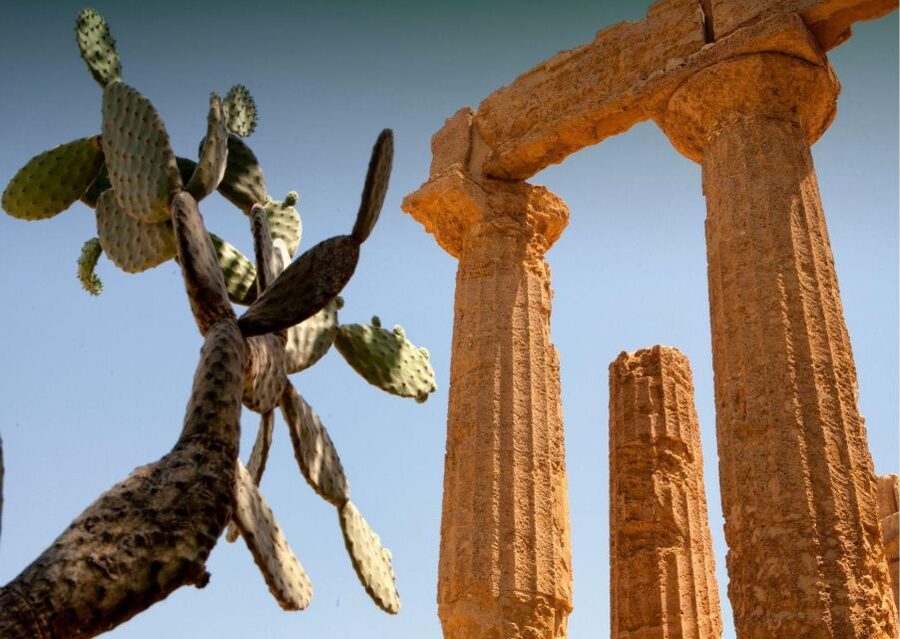 From Agrigento to Siracusa: Valley of Temples & Roman Villa - The Valley of the Temples gives you two focused hours
