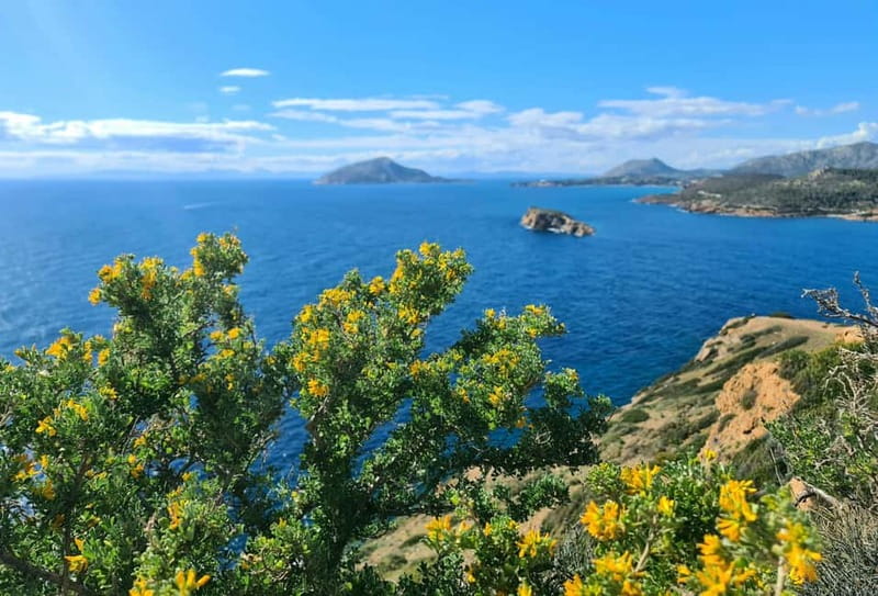 From Athens: Temple of Poseidon & Cape Sounion Half-Day Tour - The coastal drive through southern Attica