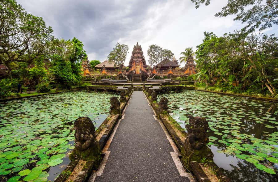 From Bali: Saraswati Temple, Monkey Forest, Ubud Waterfalls - What makes this Ubud day worth considering