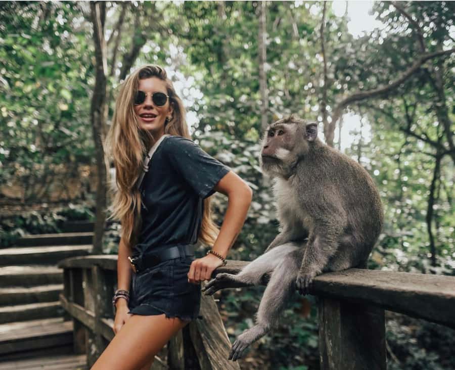 From Bali: Saraswati Temple, Monkey Forest, Ubud Waterfalls - Sacred Monkey Forest: entertaining, historic, and unpredictable
