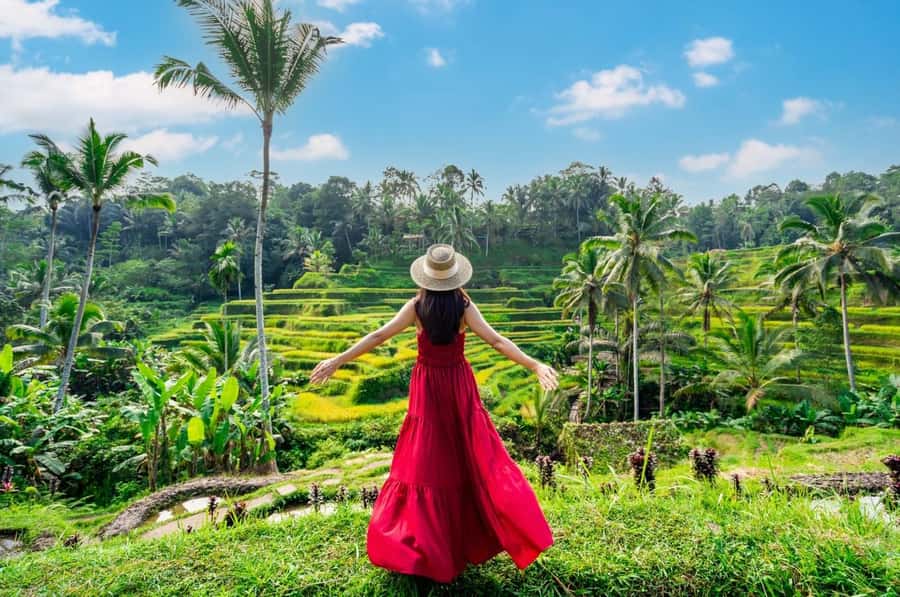 From Bali: Saraswati Temple, Monkey Forest, Ubud Waterfalls - Tegenungan Waterfall: a photogenic start with real steps