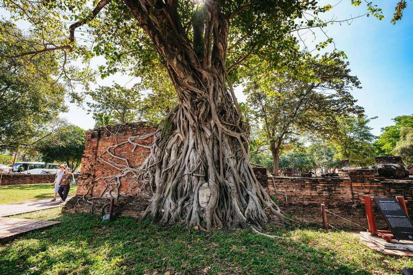 From Bangkok: Ayutthaya Temples Guided Tour with Lunch - Wat Chaiwatthanaram: Ayutthaya’s grand riverside entrance