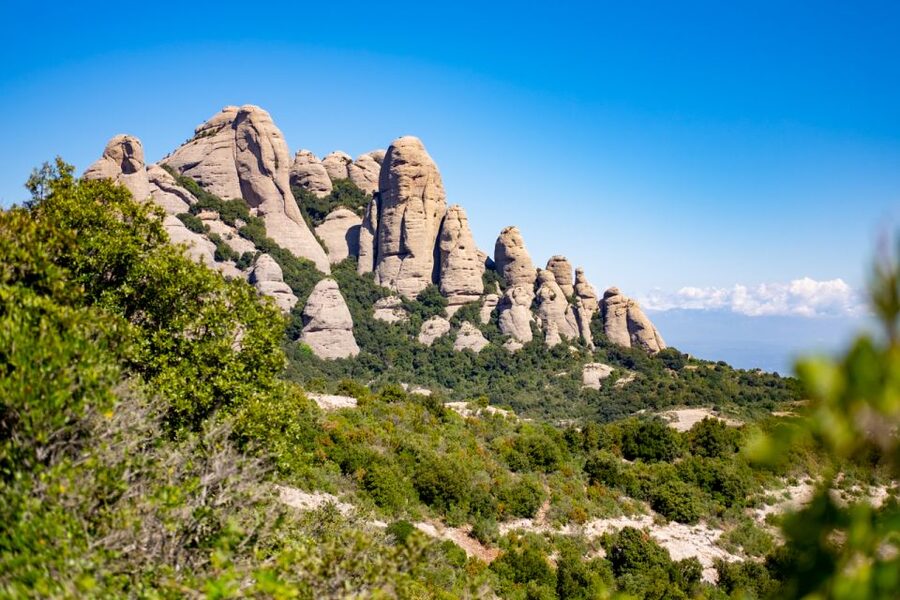 From Barcelona: Montserrat Monastery, Easy Hike, Cable Car - The monastery: 100 minutes of faith, art, and Catalan culture