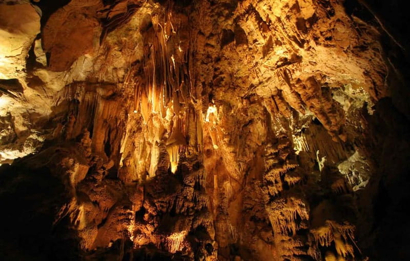 From Belgrade: Manasija Monastery and Resava Cave Tour - Resava Cave, the day’s most surprising stop