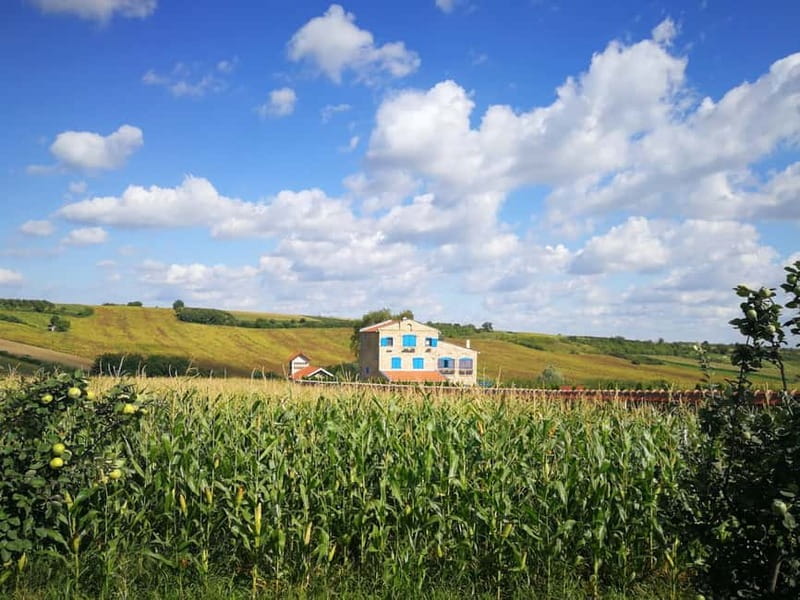 From Belgrade: Novi Sad & Fruska gora & winery and monastery - Crossing the Danube Frontier at Petrovaradin