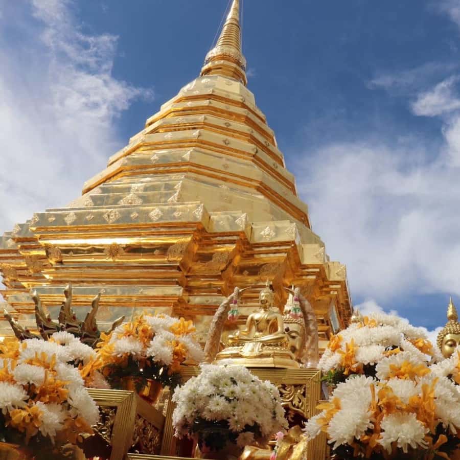 From Chiang Mai: Temples, Sticky Waterfall, and Orchid Farm - Key points at a glance