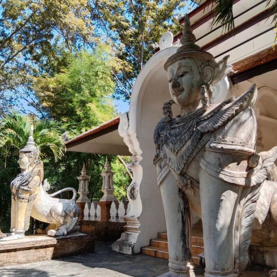 From Chiang Mai: Temples, Sticky Waterfall, and Orchid Farm - Transport, timing, and group size