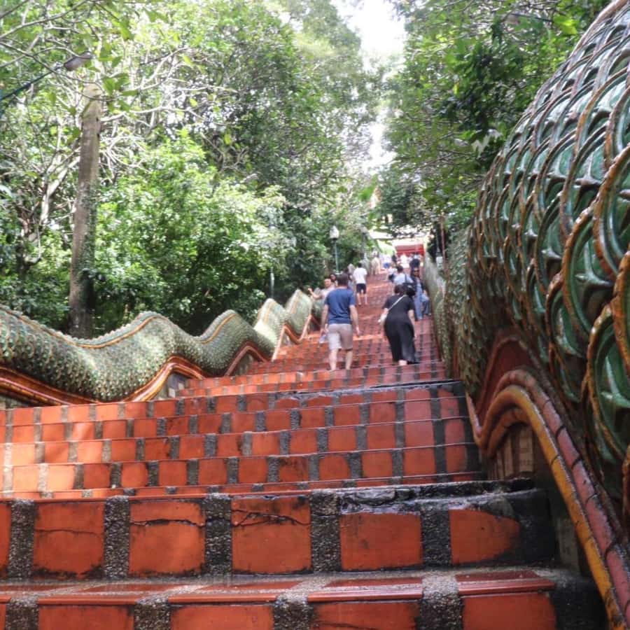 From Chiang Mai: Temples, Sticky Waterfall, and Orchid Farm - Who will enjoy this tour most