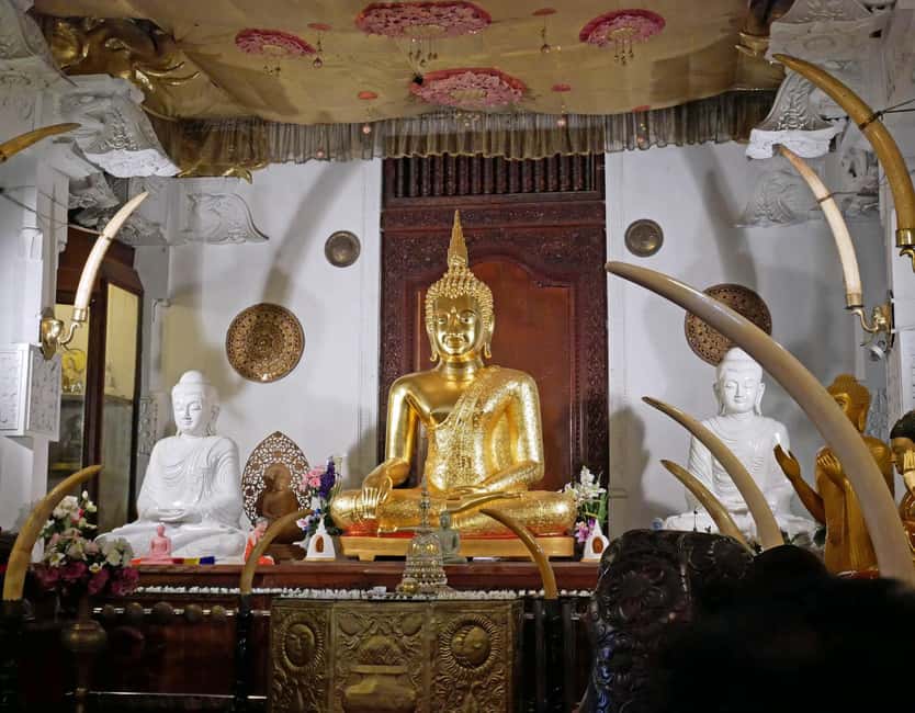 From Colombo: Kandy Temple of Tooth & Elephant Orphanage - What the $62 price really covers