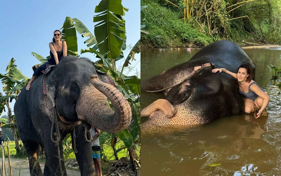 From Colombo: Kandy Temple of Tooth & Elephant Orphanage - Tea, herbs, and the shopping stops
