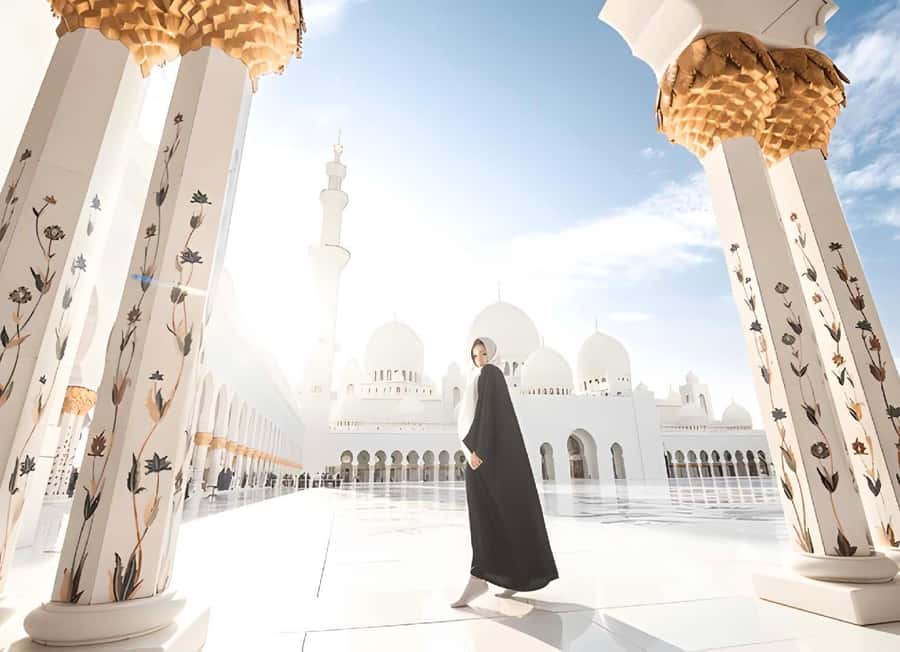 From Dubai: BAPS Hindu Temple And Sheikh Zayed Mosque Tour - Is $50 a fair price?