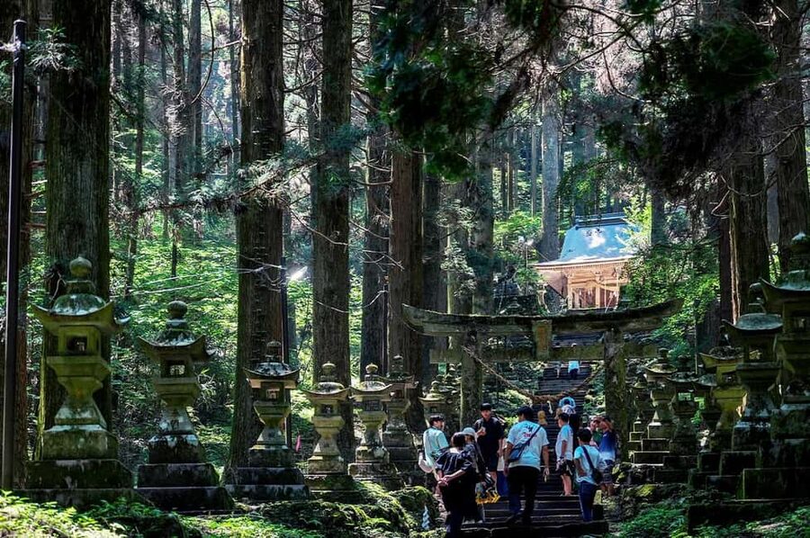 From Fukuoka: Miyazaki, Takachiho Gorge and Shrines Day Tour - Key Things to Know Before You Go