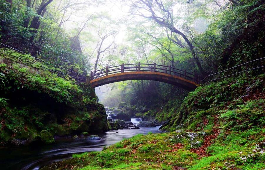 From Fukuoka: Miyazaki, Takachiho Gorge and Shrines Day Tour - An Early Start at Hakata Station