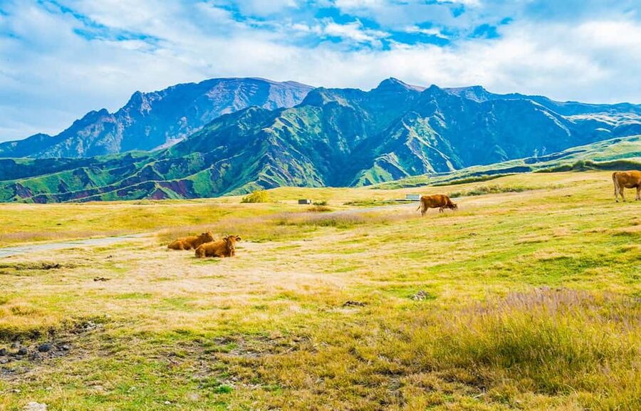 From Fukuoka: Mount Aso, Kurokawa Onsen, and Shrine Tour - One hour at Kusasenri Grassland