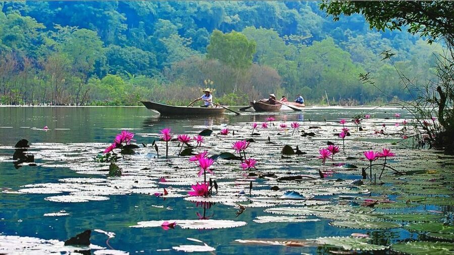 From Ha Noi: Perfume Pagoda – A Pagoda In Deep In A Cave - Key Things To Know Before You Go