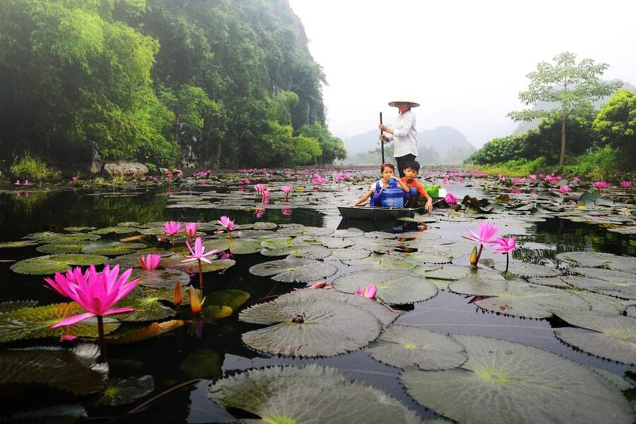 From Ha Noi: Perfume Pagoda – A Pagoda In Deep In A Cave - Who Will Enjoy This Day Trip