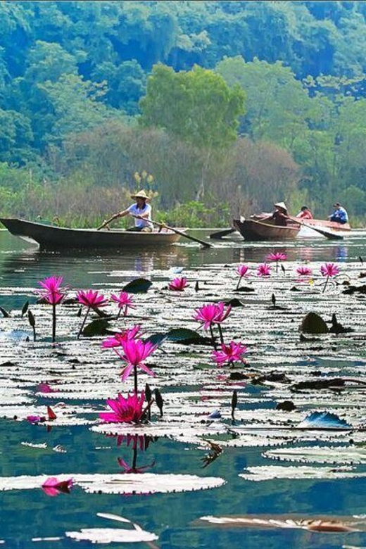 From Ha Noi: Perfume Pagoda – A Pagoda In Deep In A Cave - Trinh Temple and the Story of a Local Protector