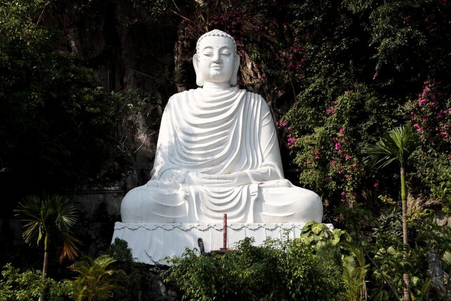 From Hoi An: Day Tour of My Son Temples and Marble Mountain - Guides, vehicles, and group size