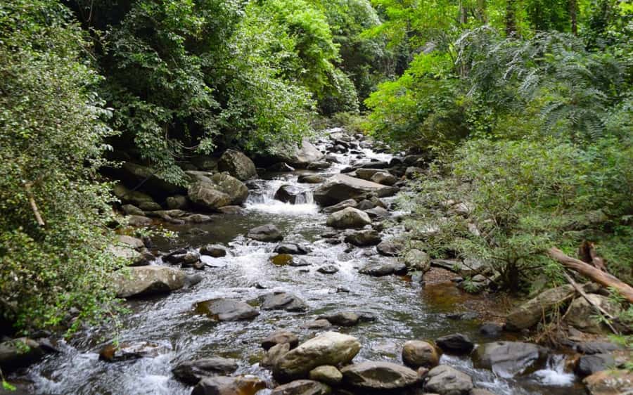 From Hua Hin: Pala U Waterfall and Huay Mongkol Temple Tour - Key points at a glance