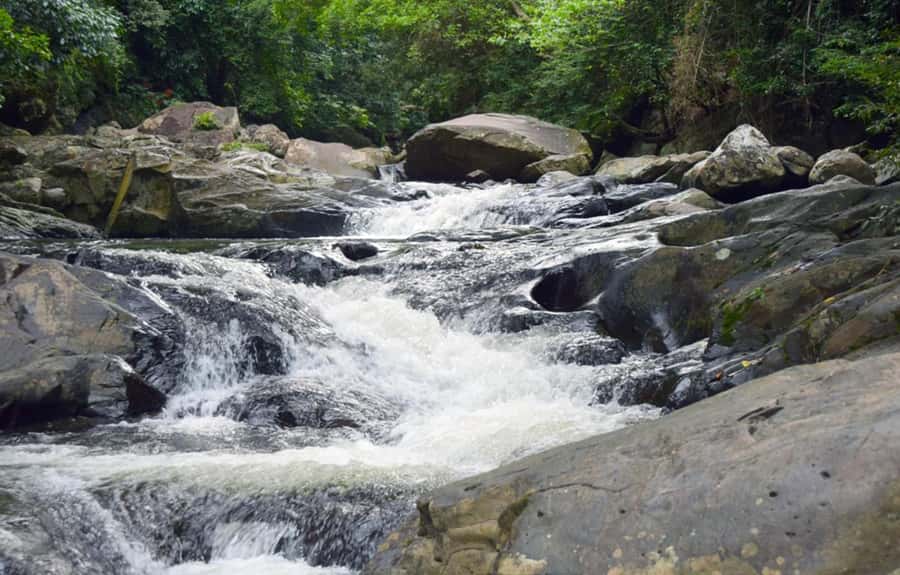 From Hua Hin: Pala U Waterfall and Huay Mongkol Temple Tour - Lunch and the practical rhythm of the day
