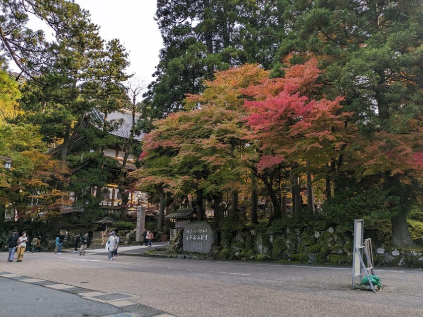 From Kanazawa: Eiheiji Buddhist Temple & Fukui Castle Town - Key things to know before booking