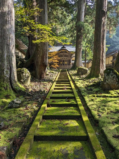 From Kanazawa: Eiheiji Buddhist Temple & Fukui Castle Town - Why this Fukui day trip is worth your time