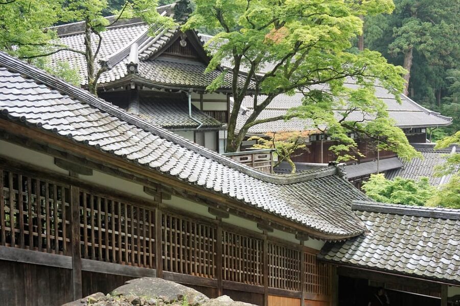 From Kanazawa: Eiheiji Buddhist Temple & Fukui Castle Town - Dinosaur Square gives Fukui a playful welcome