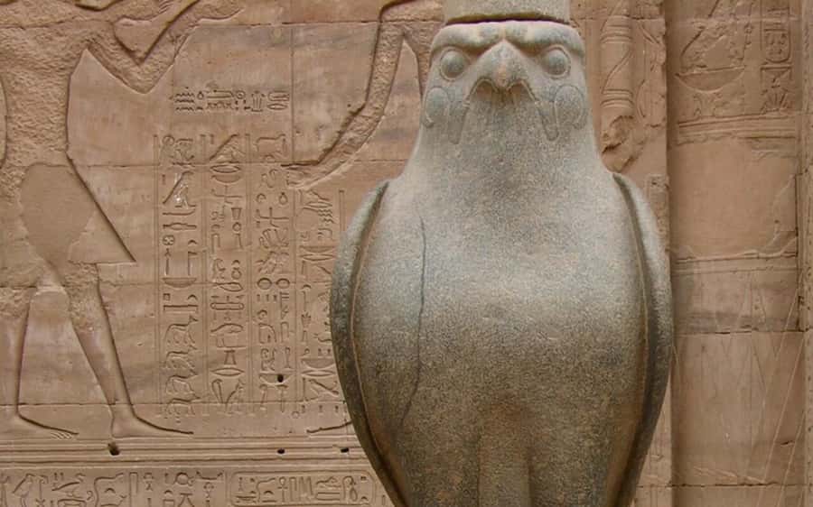 From Luxor: Private Edfu and Kom Ombo Temples Tour & Lunch - Edfu Temple and the story of Horus