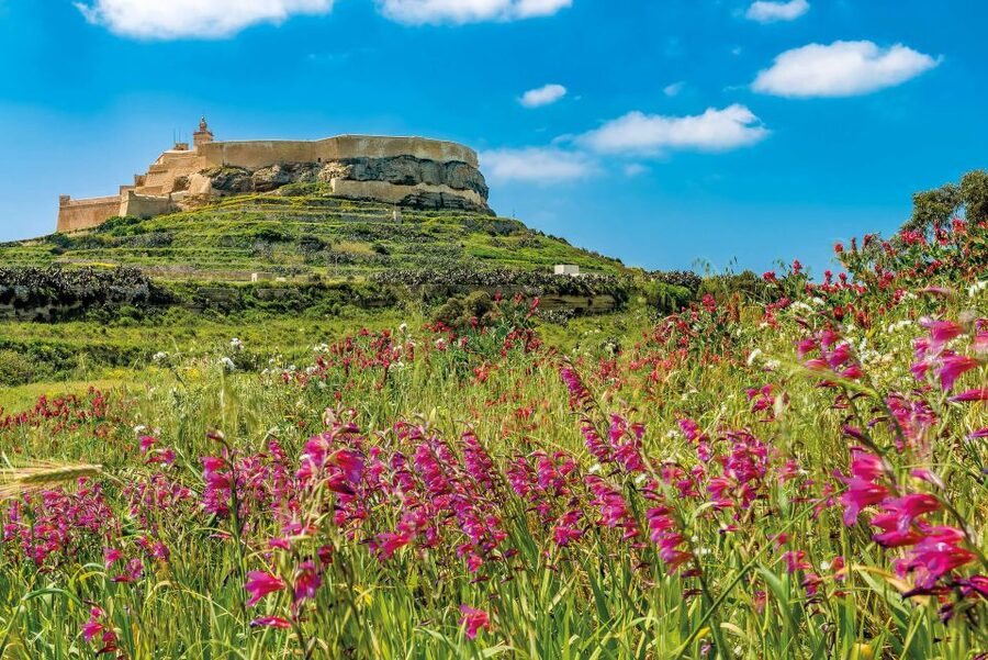 From Malta: Gozo Day Trip Including Ggantija Temples - How tiring is the nine-hour schedule?