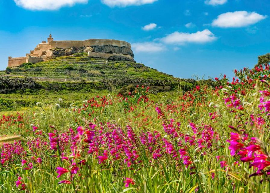 From Malta: Gozo Full-Day Tour with Guide, Temples, & Train - Why Gozo works best as a full-day outing