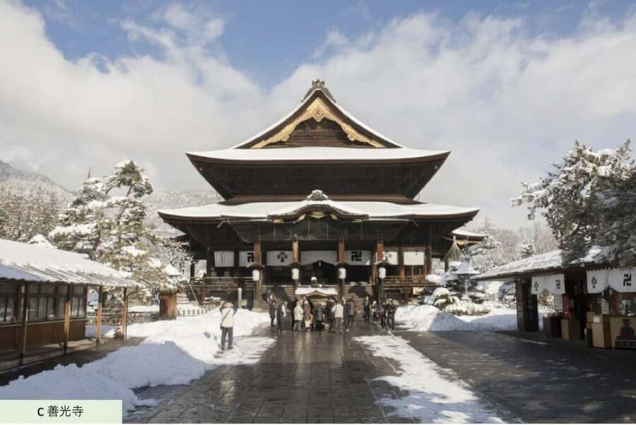 From Myoko Kogen: Snow Monkey Park and Zenkoji Temple Tour - Meeting the wild snow monkeys