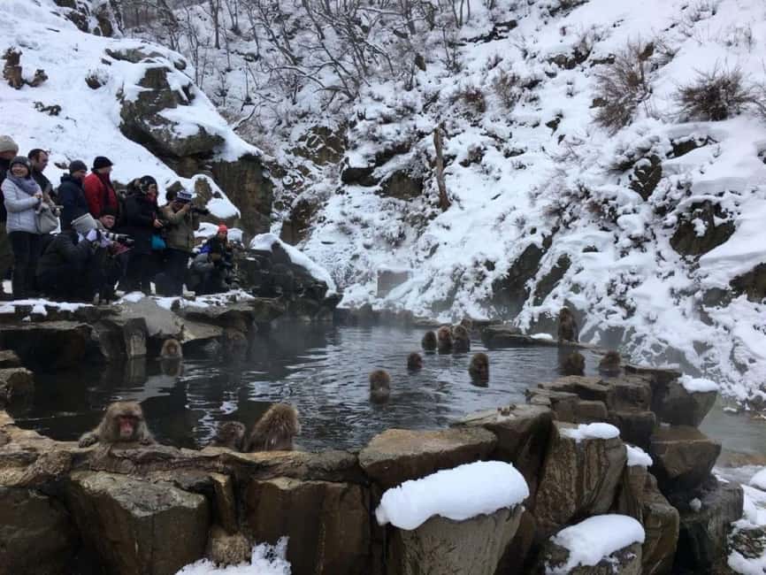 From Myoko Kogen: Snow Monkey Park and Zenkoji Temple Tour - A hotpot lunch with Nagano flavors