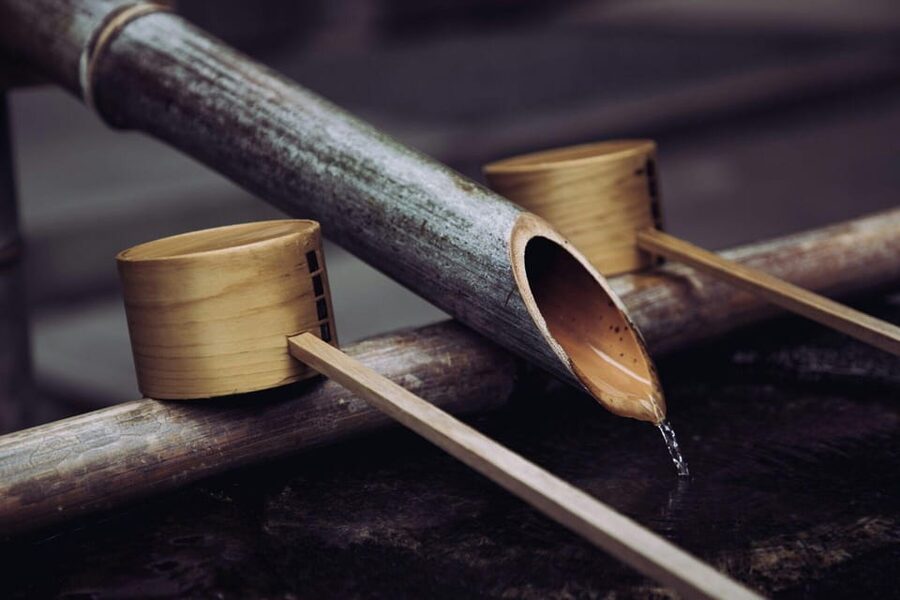 From Nagoya: Ise’s Sacred Shrines and Captivating Coastlines - Who should book this Ise experience?