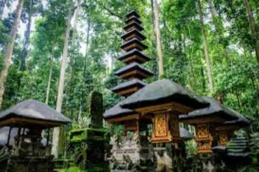 From north bali :Tanah Lot, sangeh forest & Ulun Danu Temple - Ulun Danu Beratan and the Lake Views