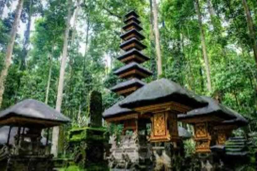 From north bali :Tanah Lot, sangeh forest & Ulun Danu Temple - Is $33 Good Value?