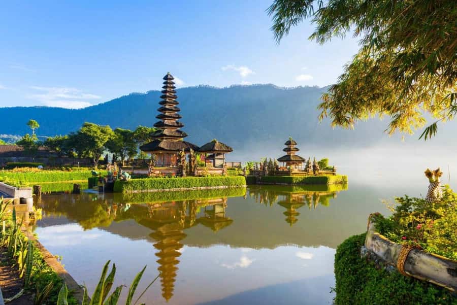 From north bali :Tanah Lot, sangeh forest & Ulun Danu Temple - Sangeh Monkey Forest: A Quieter Start