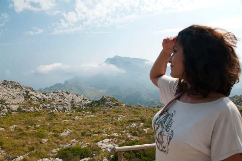 From Palma: Serra Tramuntana and Lluc Monastery Guided Tour - Port de Sóller, the tram, and the famous wooden train