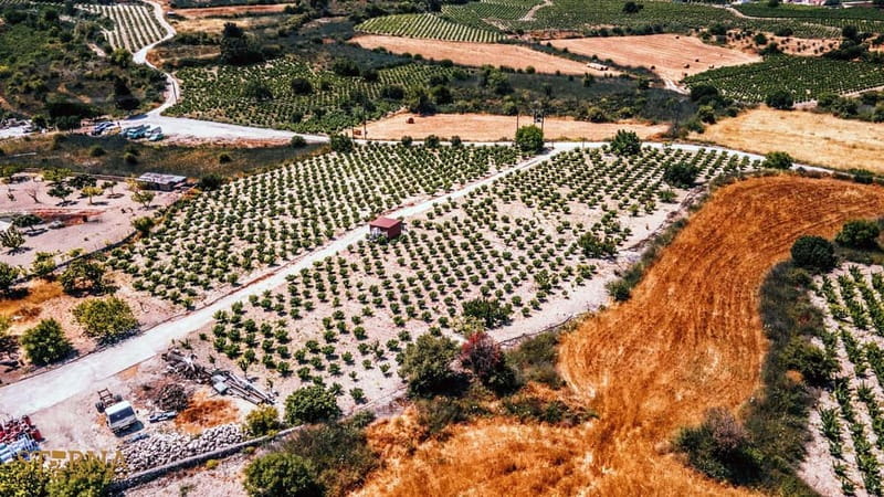 From Paphos: Afternoon Tour to Agios Neophytos Monastery - Should you book this Paphos tour?