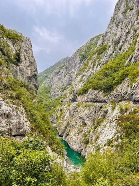 From Podgorica: Biogradska Gora NP & Moraca monastery&Canyon - Who will enjoy this Montenegro tour most
