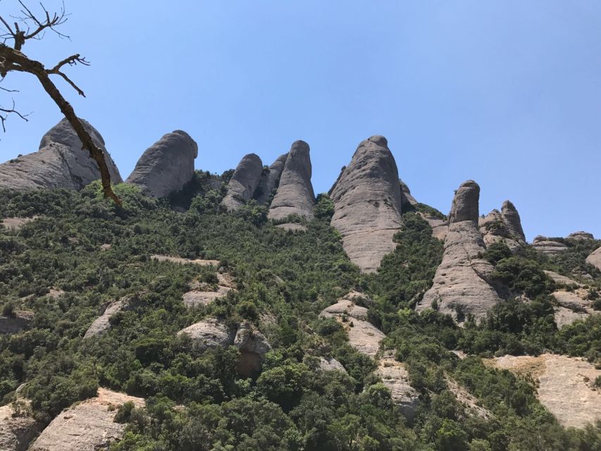 From Salou: Montserrat Monastery and Colonia Güell - Why Colonia Güell is worth the first stop